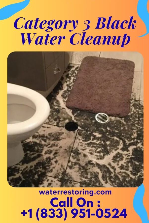 Category 3 Black Water Cleanup in Wabasso, MN