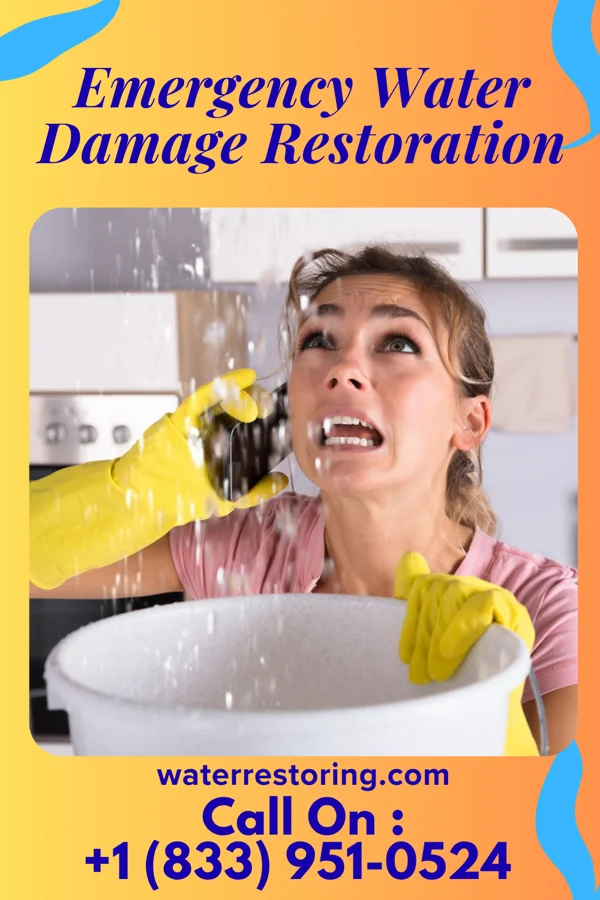 Emergency Water Damage Restoration in Wabasso, MN